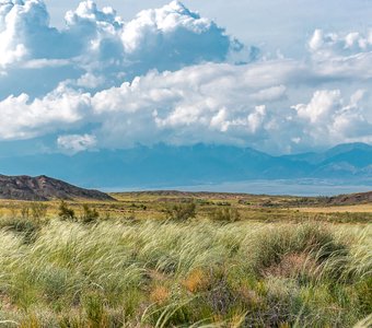 Казахстан, Алтын-Эмель, май 2024