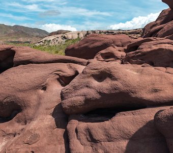 Казахстан, Алтын-Эмель, горы Катутау, май 2024