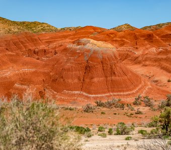 Казахстан, Алтын-Эмель, горы Актау, май 2024