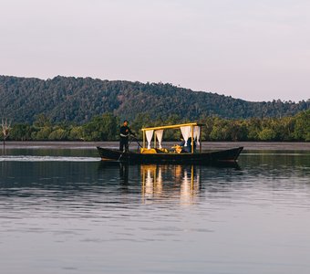 Рассвет на озере в мангровых лесах