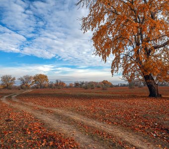 Осенний пейзаж