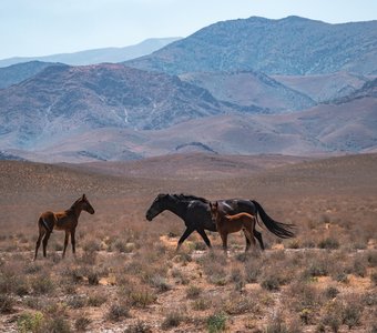 Узбекистан, май 2023