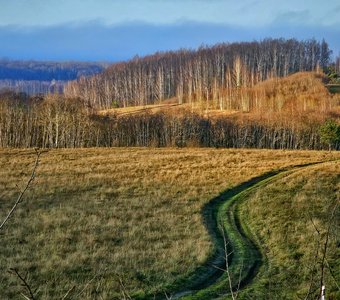 Осень попрощалась. Блинова роща