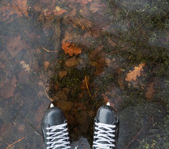 Застывший ноябрь