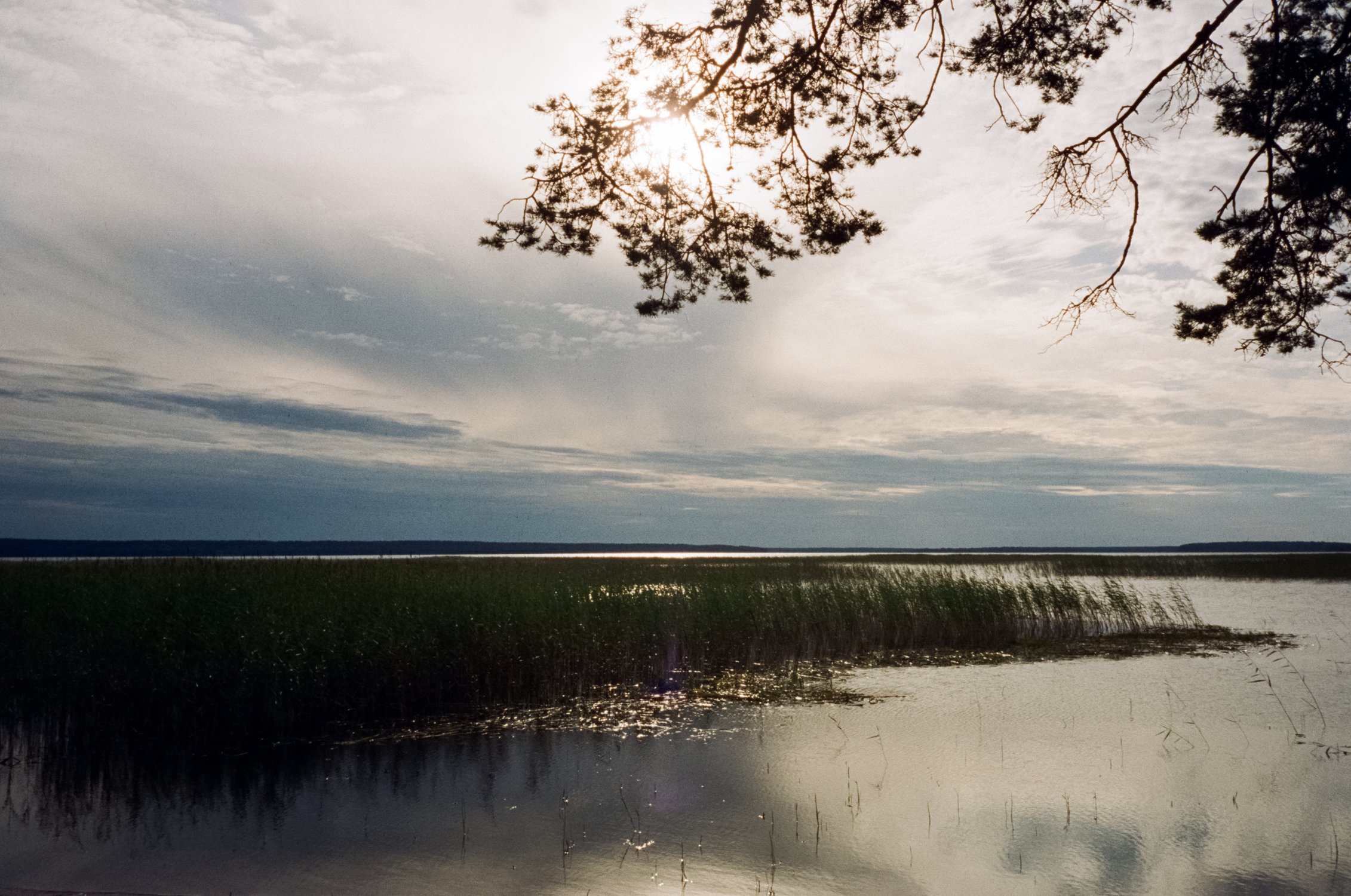 Рассвет на озере Отрадное. Пленка