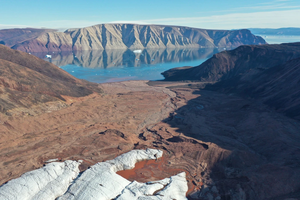 Гренландия зеленеет – там растаяли 3 000 000 гектаров ледников
