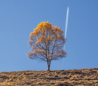 Осенний рейс