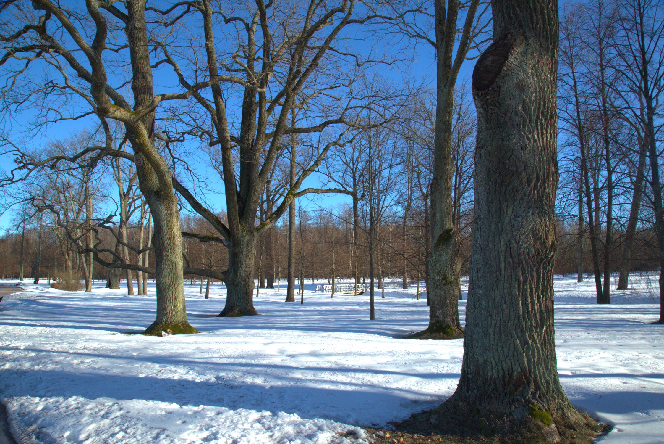 Зима в парке Александрия, Петергоф