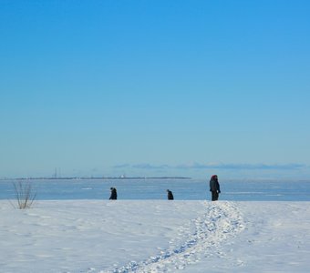 Финский залив в зимний день