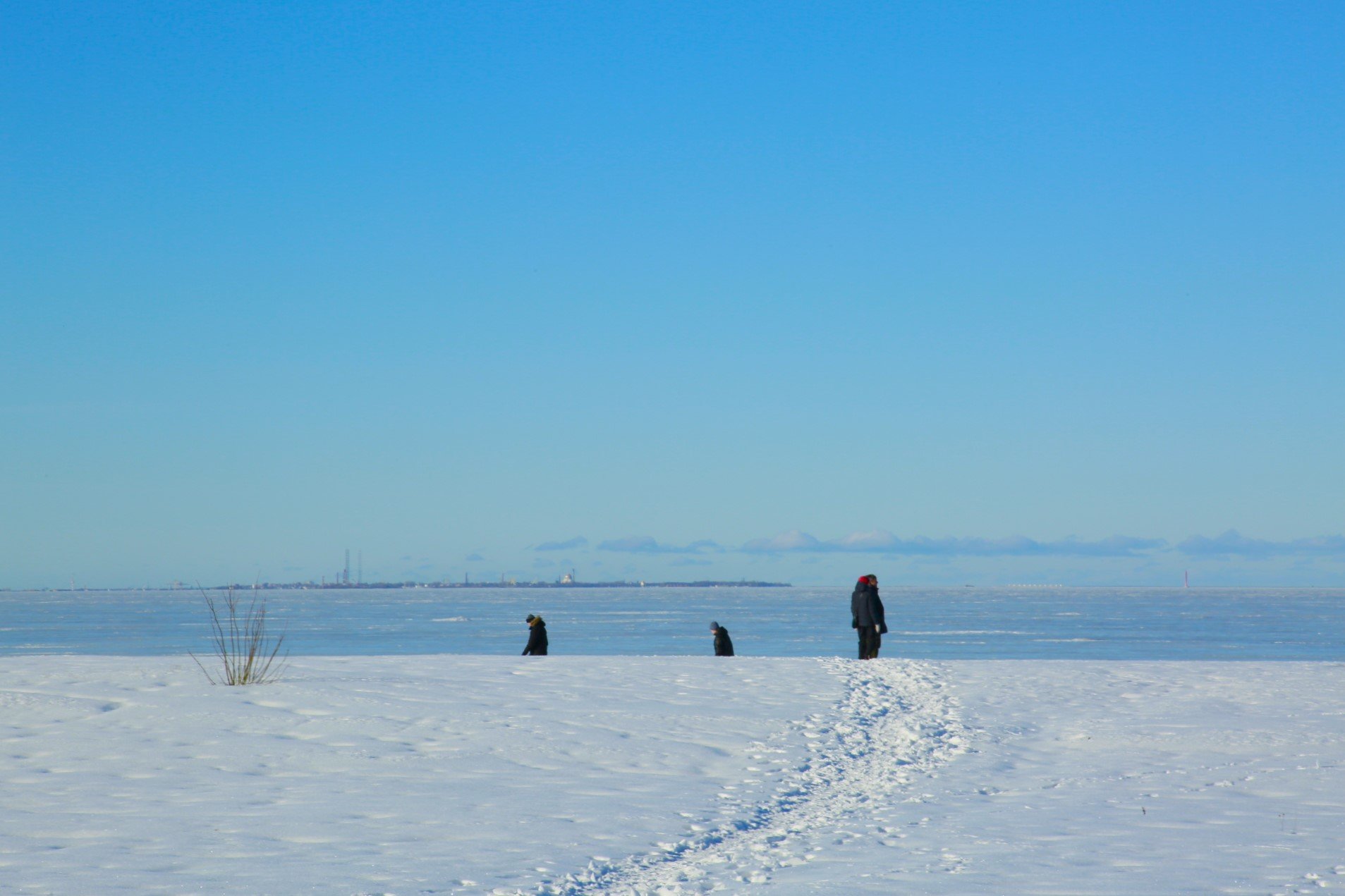 Финский залив в зимний день