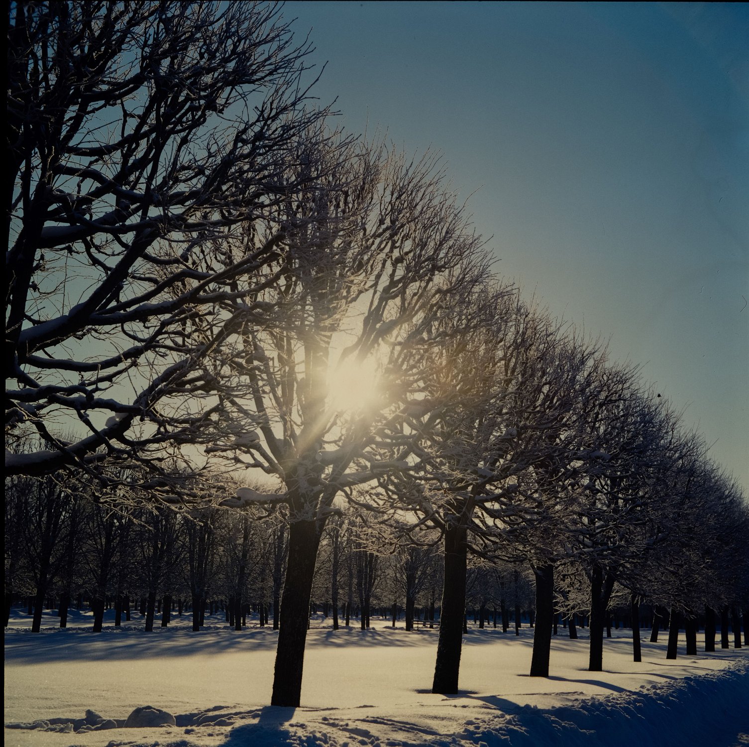 Усадьба Архангельское. Kodak Ektachrome 100VS