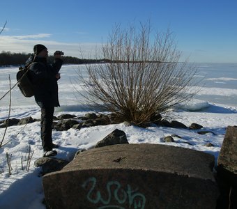 Финский залив, зима