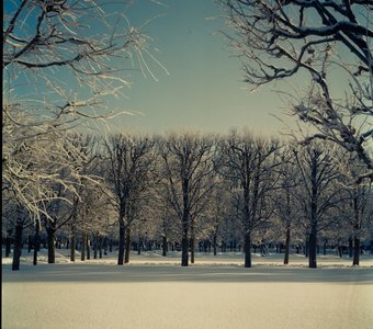 Усадьба Архангельское. Kodak Ektachrome 100VS