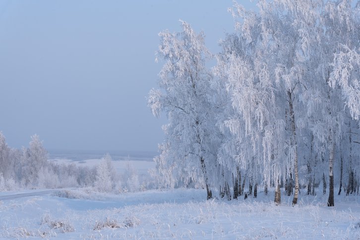 Фото: Светлана Головачева / фотохостинг Russian Traveler