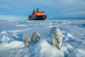 В гости к белым медведям: круиз на Северный полюс с Клубом полярных путешествий