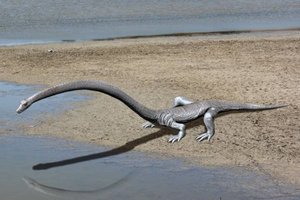 В Китае нашли огромного морского дракона возрастом 250 миллионов лет