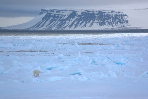Премьера документального фильма «В Арктику»