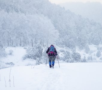 Снегопад