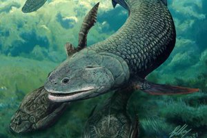 Удивительная доисторическая рыба: дышала воздухом, обладала страшными клыками