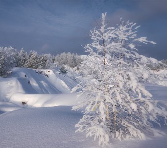 Не шелохнуться...