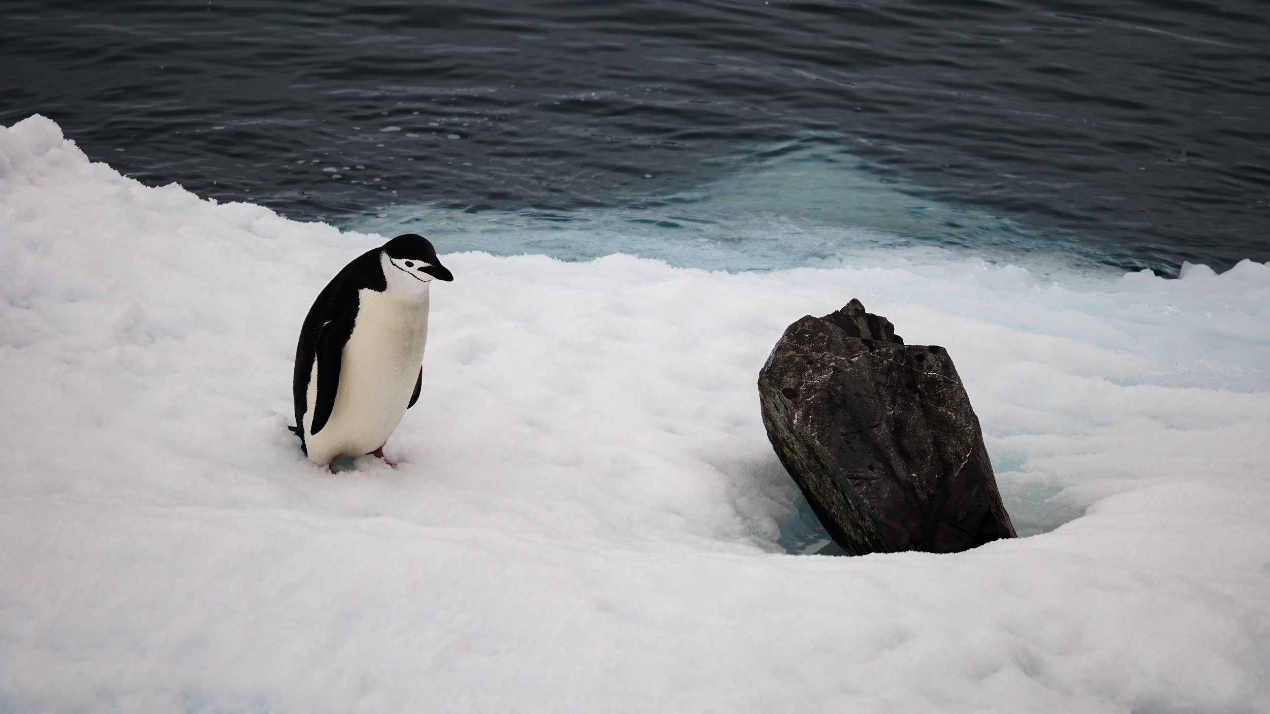 Это моя квартира?