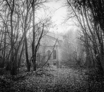 Усадьба фон Мекк в Тульской области