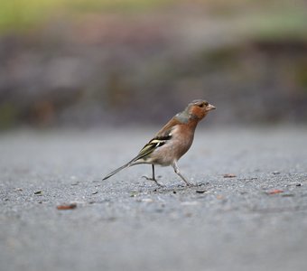 Уверенно врываюсь в день!
