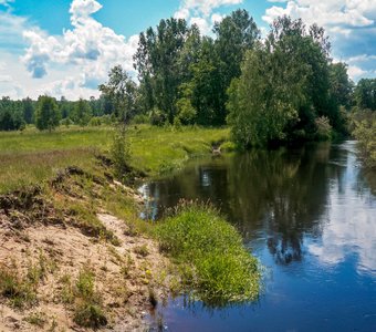 Природа Калужской области