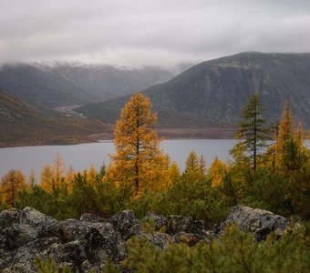 "Суровая красота"