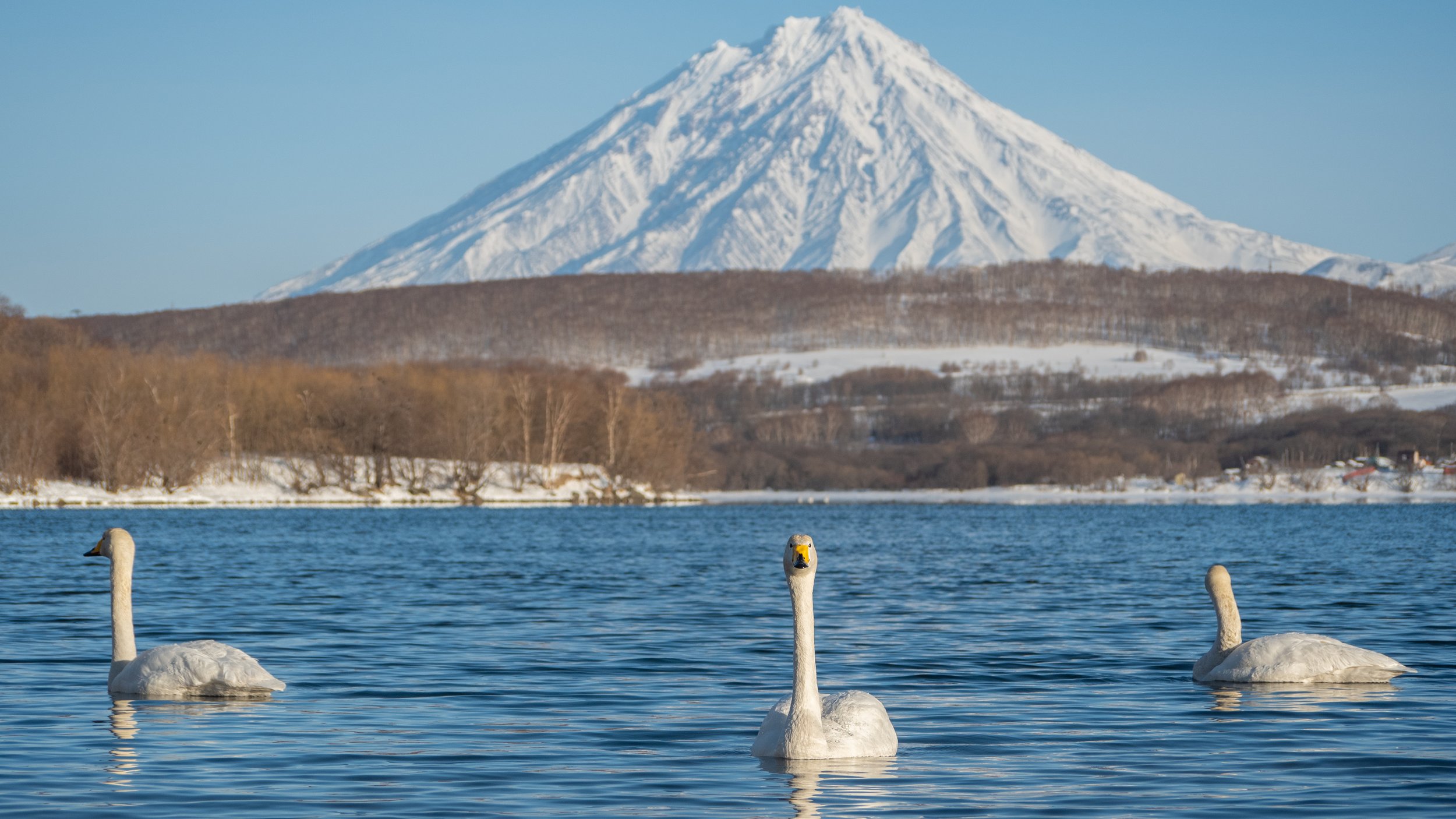 Камчатская весна