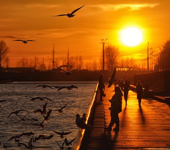 "Петербургские восходы"