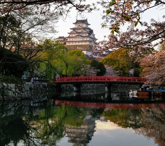 Замок Белой цапли во время цветения сакуры.