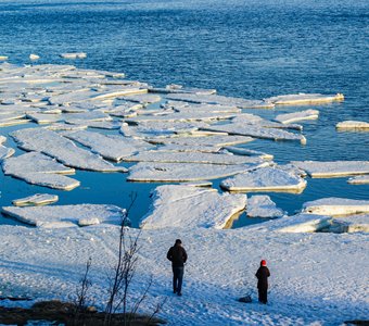 Ледяные пазлы Белого моря
