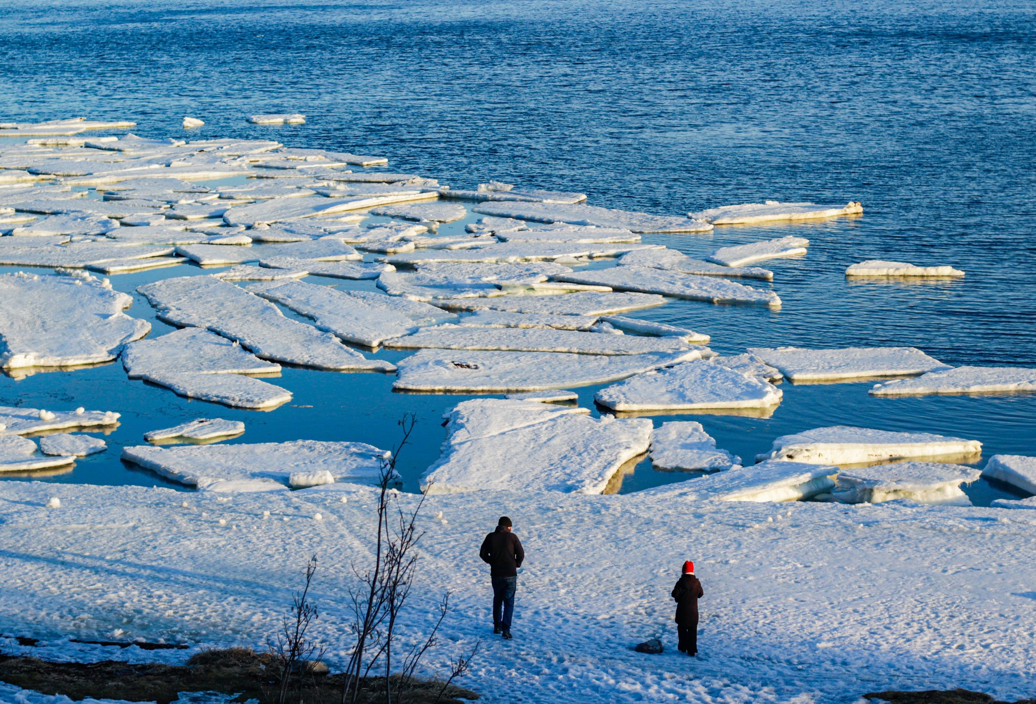Ледяные пазлы Белого моря