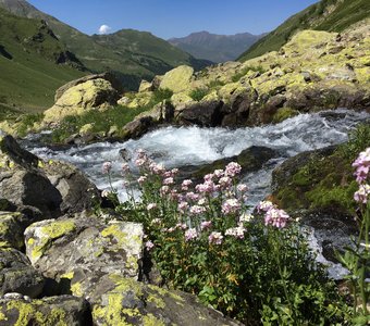 Горная река в Архызе