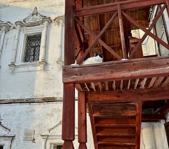 Первое весеннее солнышко