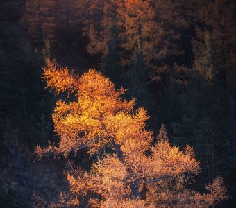 Осень в Башкирии