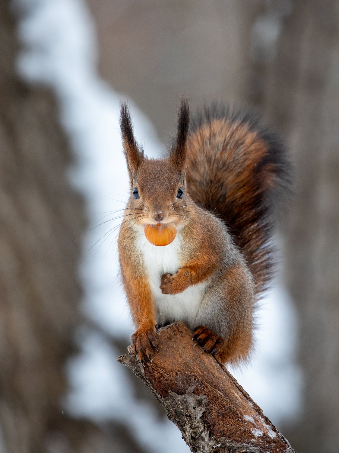 Не мешайте - я ем!