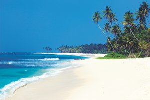 10 причин побывать на Шри-Ланке