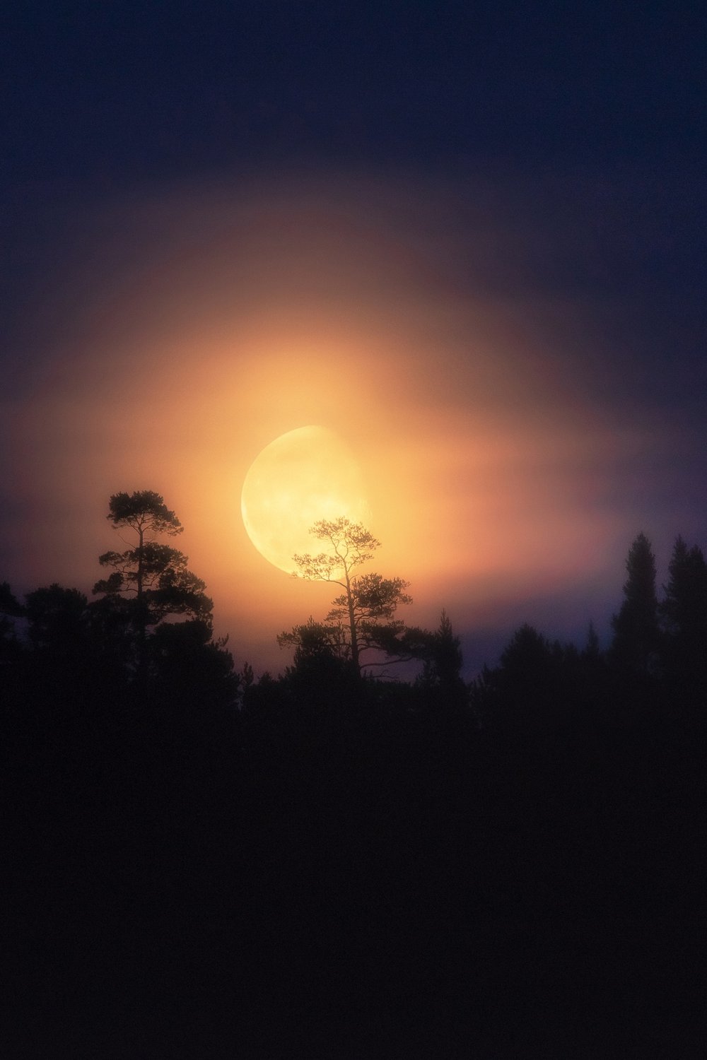 Луна над ладожскими лесами