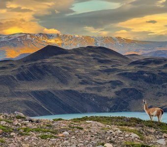 Дух Патагонии