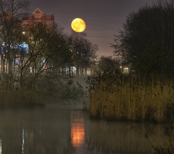 Лунное Купчино