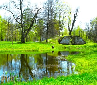 Орловский парк — расположен в Стрельне, на берегу Орловского пруда, на юго-западной окраине Санкт-Петербурга