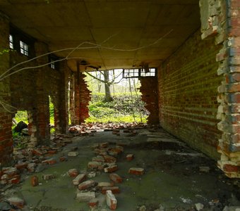 Руины в Орловском парке