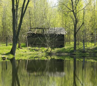 Руины в Орловском парке