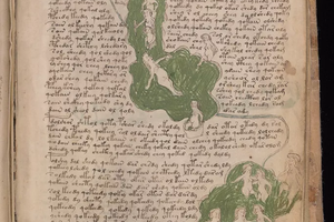 Таинственный средневековый манускрипт может быть пособием по сексологии
