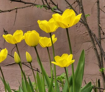 Без названия...