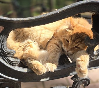 Надо подумать