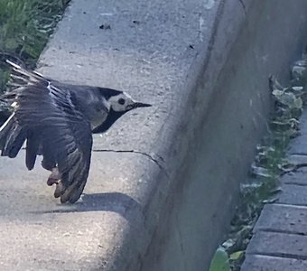 Внимание! Взлетаю!