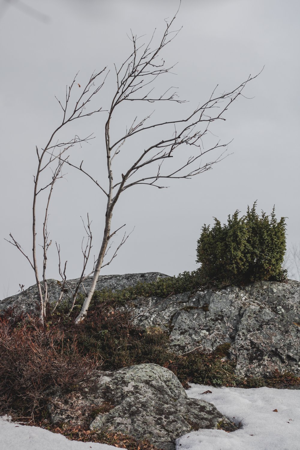 В ожидании тепла